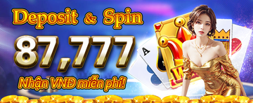 0801-VN7 Banner